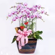 中秋节鲜花,鱼跃龙门
